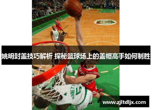 姚明封盖技巧解析 探秘篮球场上的盖帽高手如何制胜