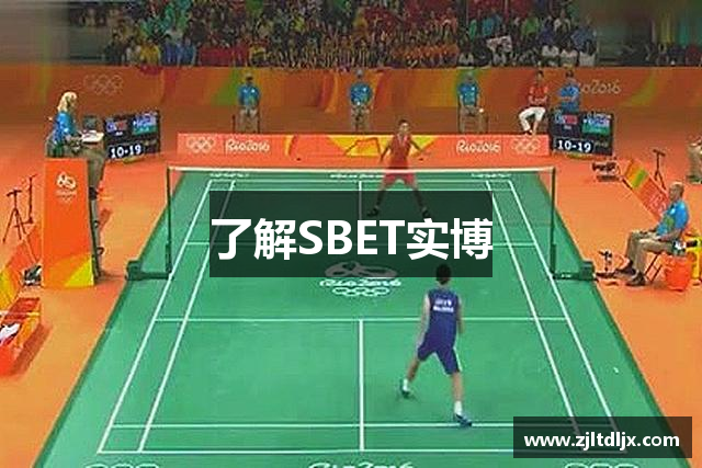 了解SBET实博